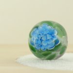 画像1: 梅雨を彩る紫陽花 (1)