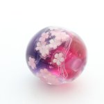 画像4: 赤紫桜 (4)